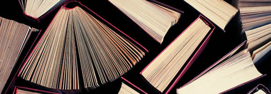 Badgerdog Creative Writing Program: How to Novelize a Movie