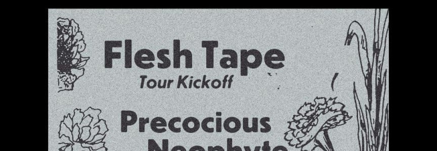Flesh Tape + Precocious Neophyte + Sleep Club + Fear of Withdrawal