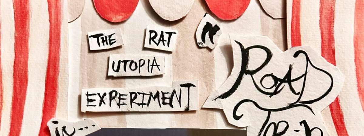 The Rat Utopia Experiment