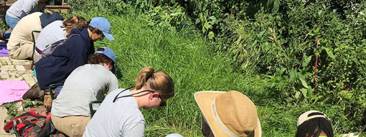 Pollinator Gardening with Native Plants