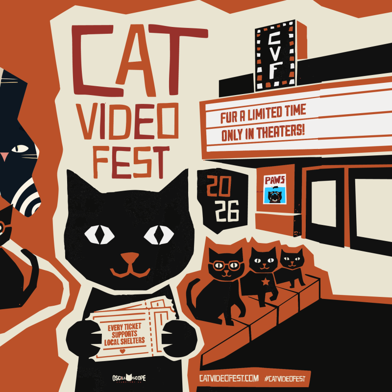 Cat Video Fest 2026 (19+)