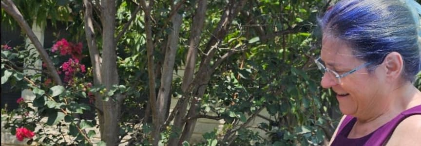 Second Saturday Open Studio: Hear Plants Sing