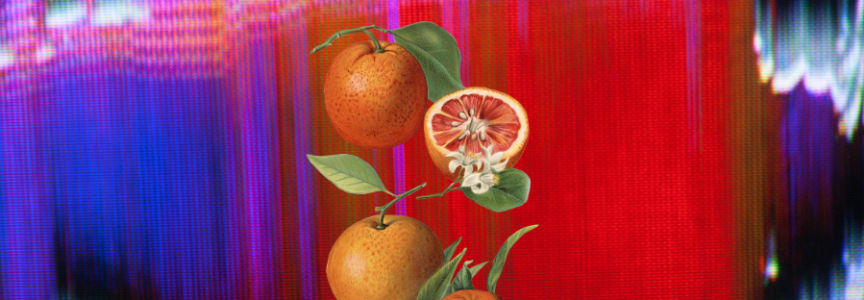 Sensory Universe: One Tree, Many Scents