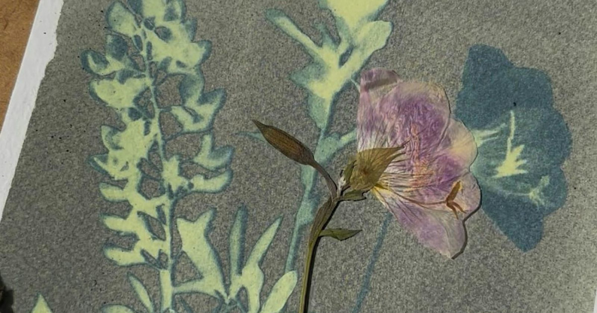 Art + Oinks: Cyanotype Printing at the Enchanted Pig Forest!