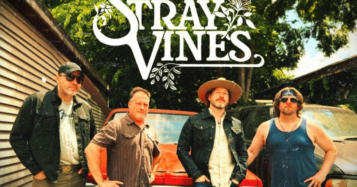 Stray Vines, The Transference, Kenny P Mitchell and the Last Chance
