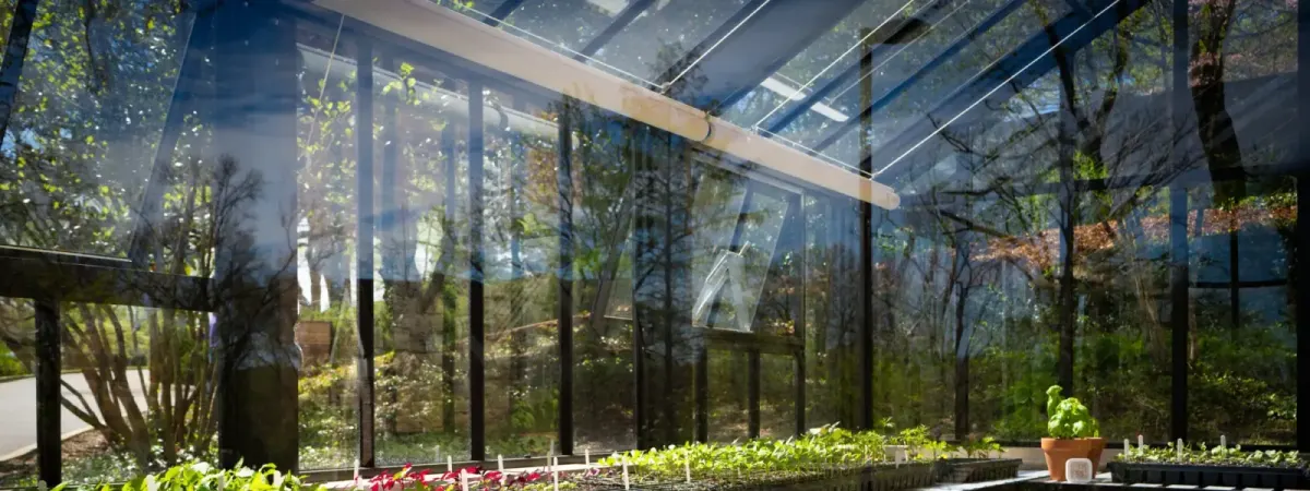 Plant Propagation