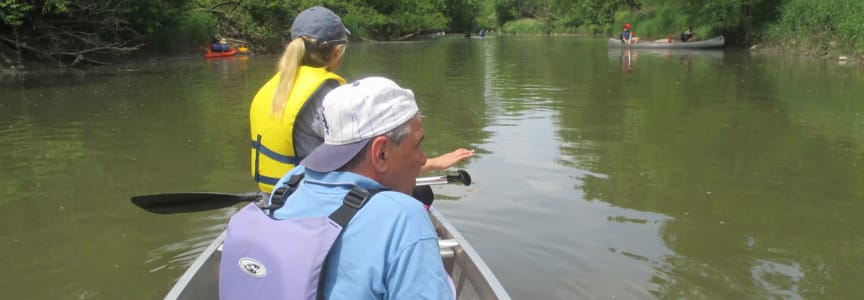 Plant and Paddle