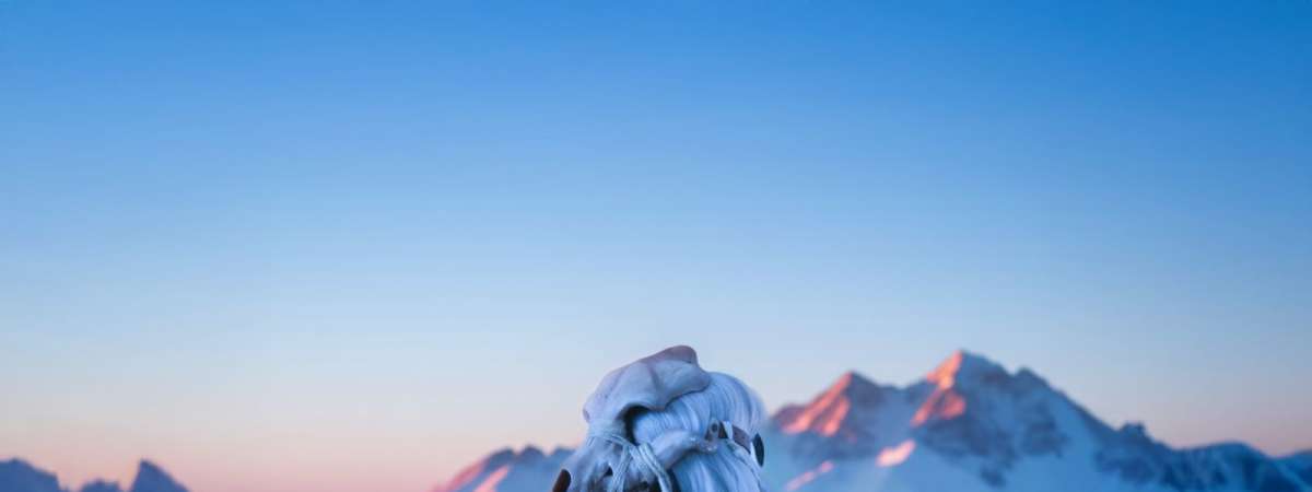 Eihwar: Nordic Ritual Nights USA Tour 2026
