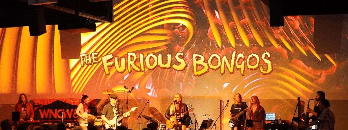 The Furious Bongos