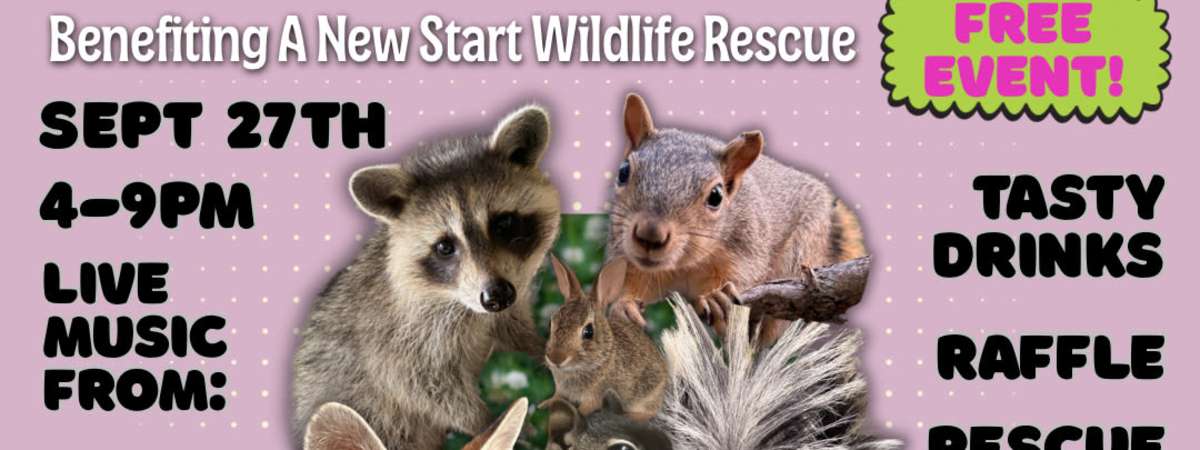 Wild for Wildlife!