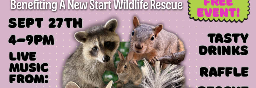 Wild for Wildlife!