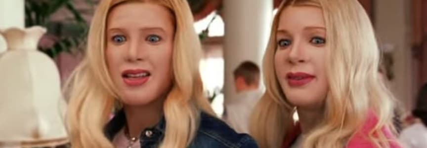 Movies in the Parks at Bartelme: White Chicks