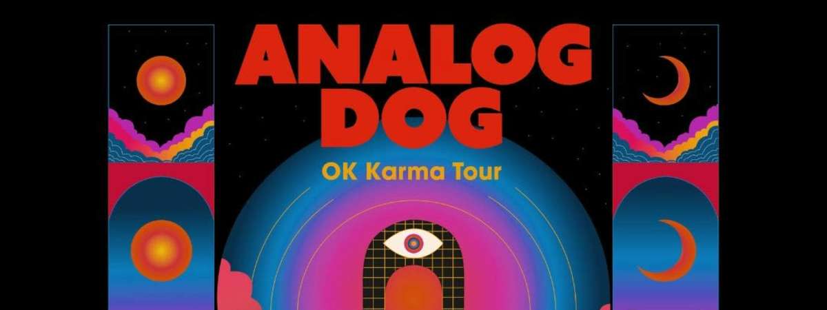 Analog Dog, Her Magic Orchestra, Reflective Detectives