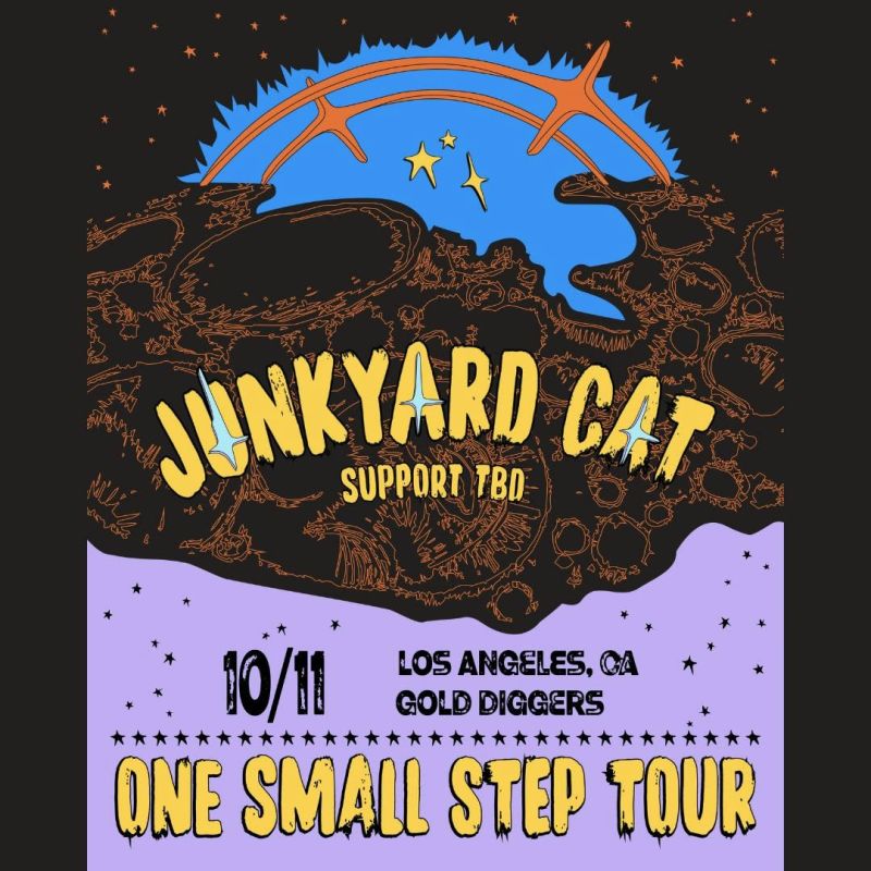 Junkyard Cat