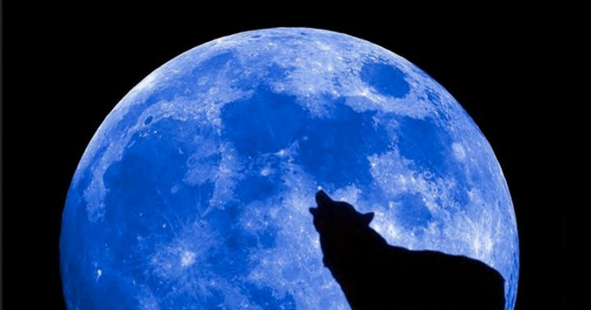 Blue Moon Jazz w/Rosie Flores