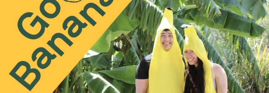 Go Bananas!