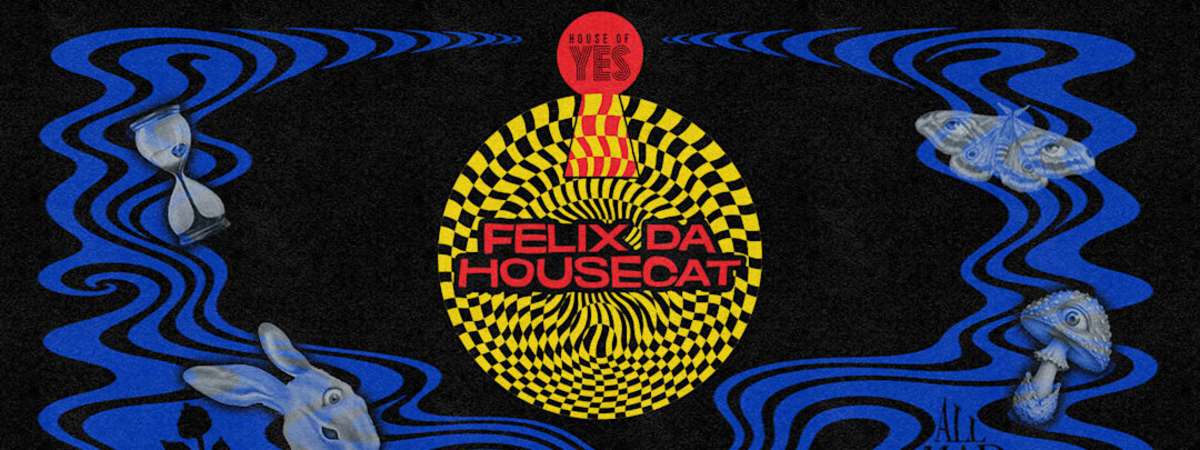 Curiouser & Curiouser: Felix Da Housecat