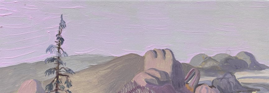 Imaginative Landscapes with Evan Forrest Mann