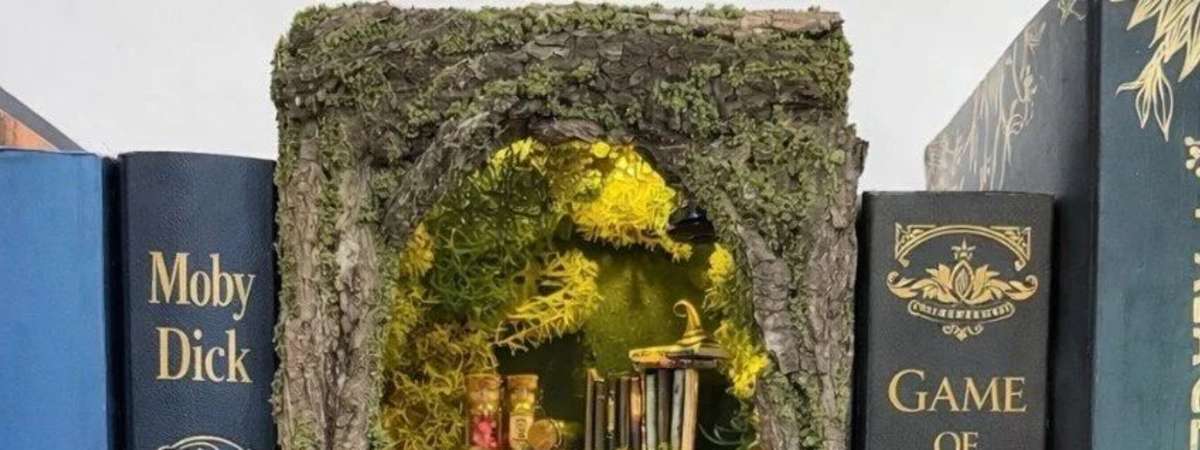 Fairy Forest Book Nooks