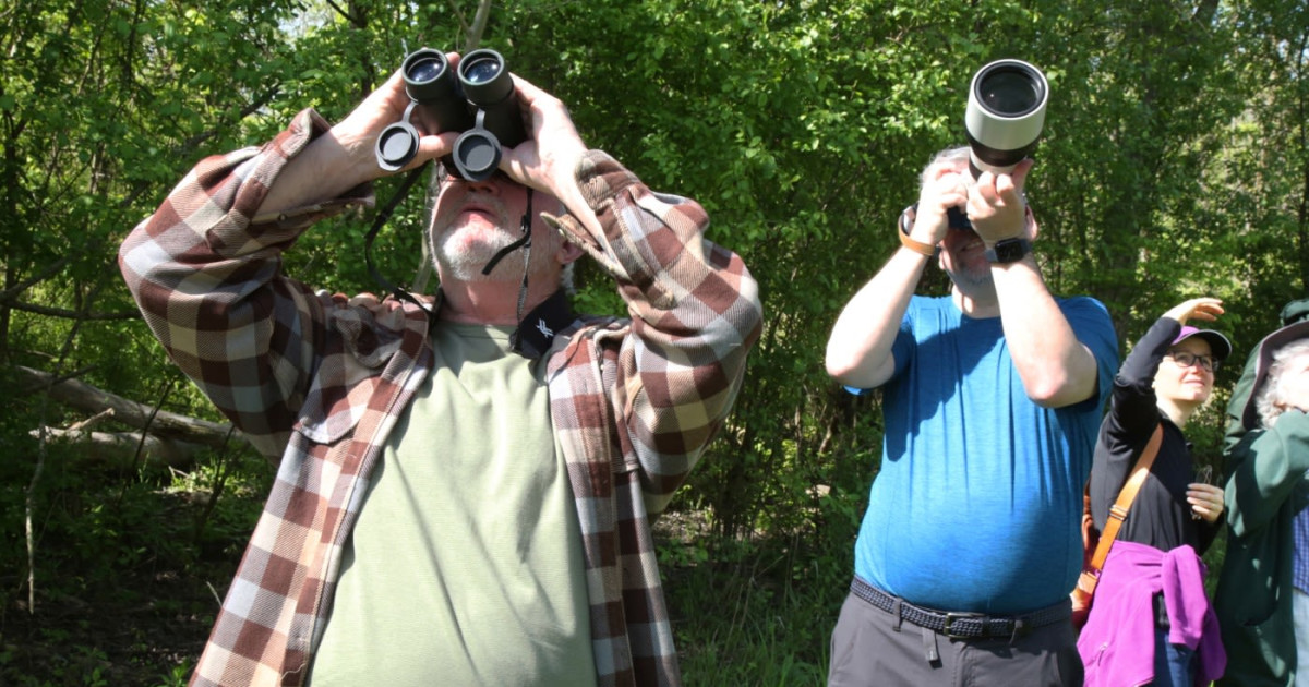 Prairie Birding