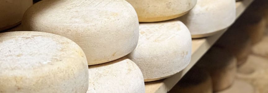 Brave the Caves: Cheese Cave Tour