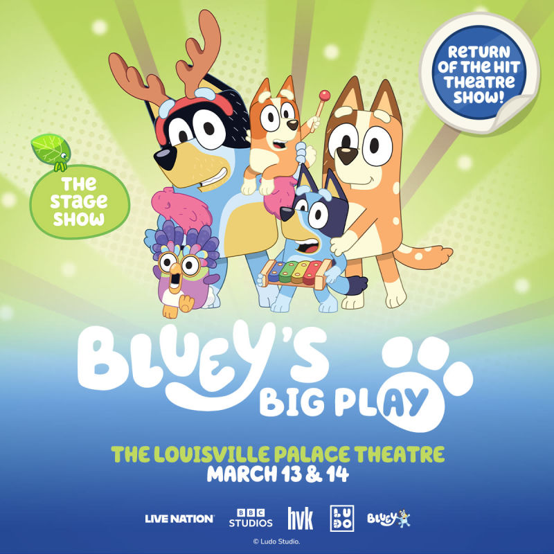 Bluey's Big Play
