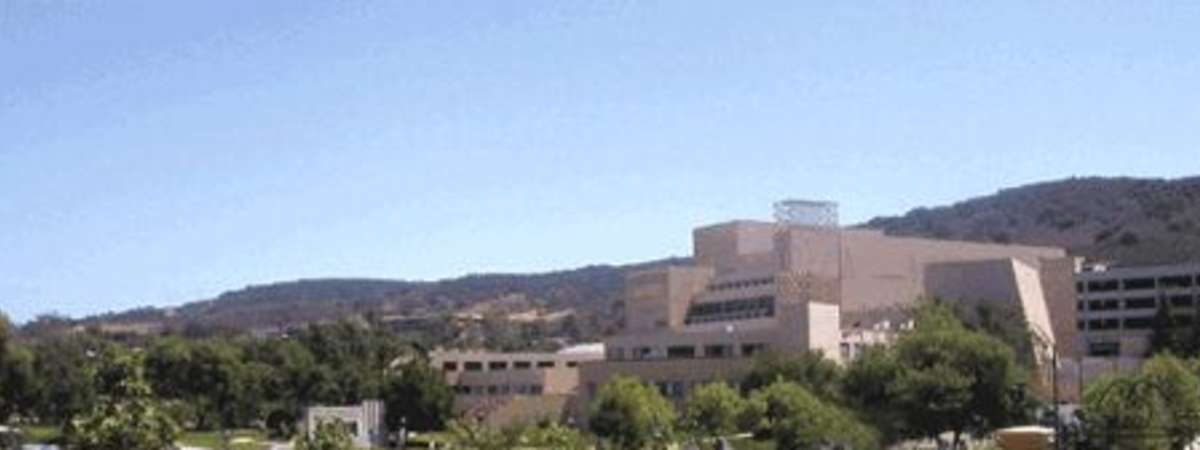 The Carpeters Songbook: A Live Celebration