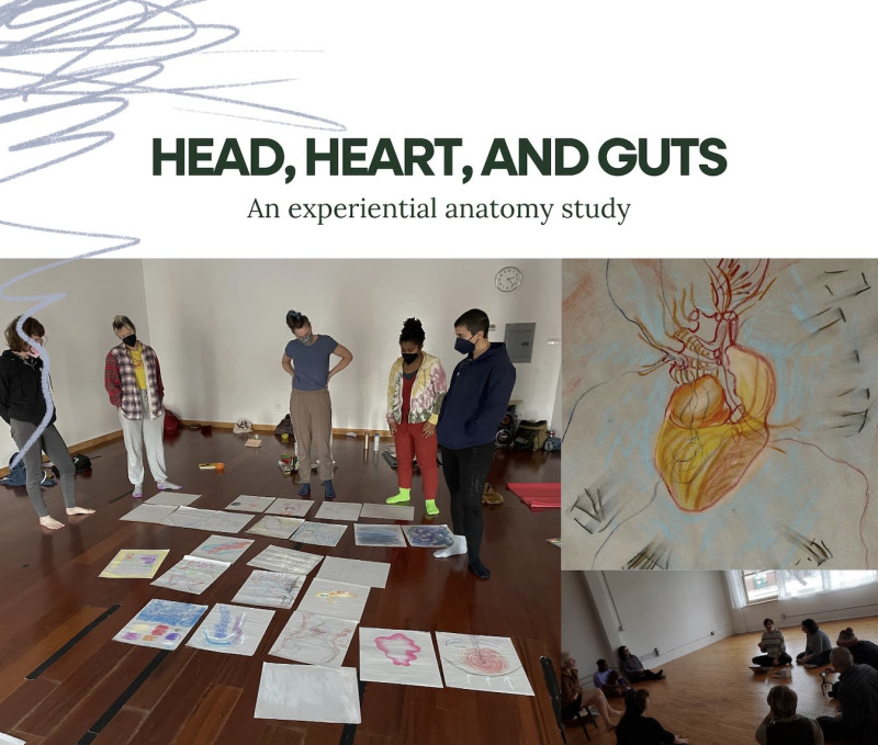 Head, Heart, and Guts: An experiential anatomy study