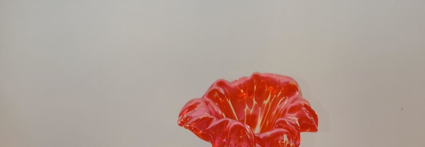 Days are WWWAAARRRMMM! Warm up your morning ?? making flowers!