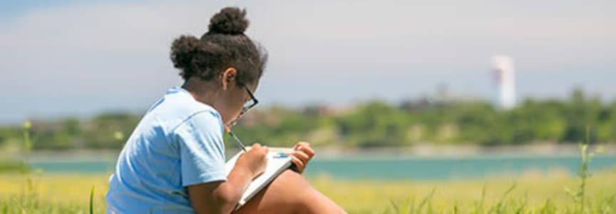 Art in the Park | Spectacle Island