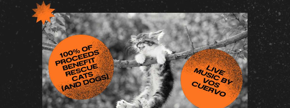 Save The Cat! Comedy Show Fundraiser