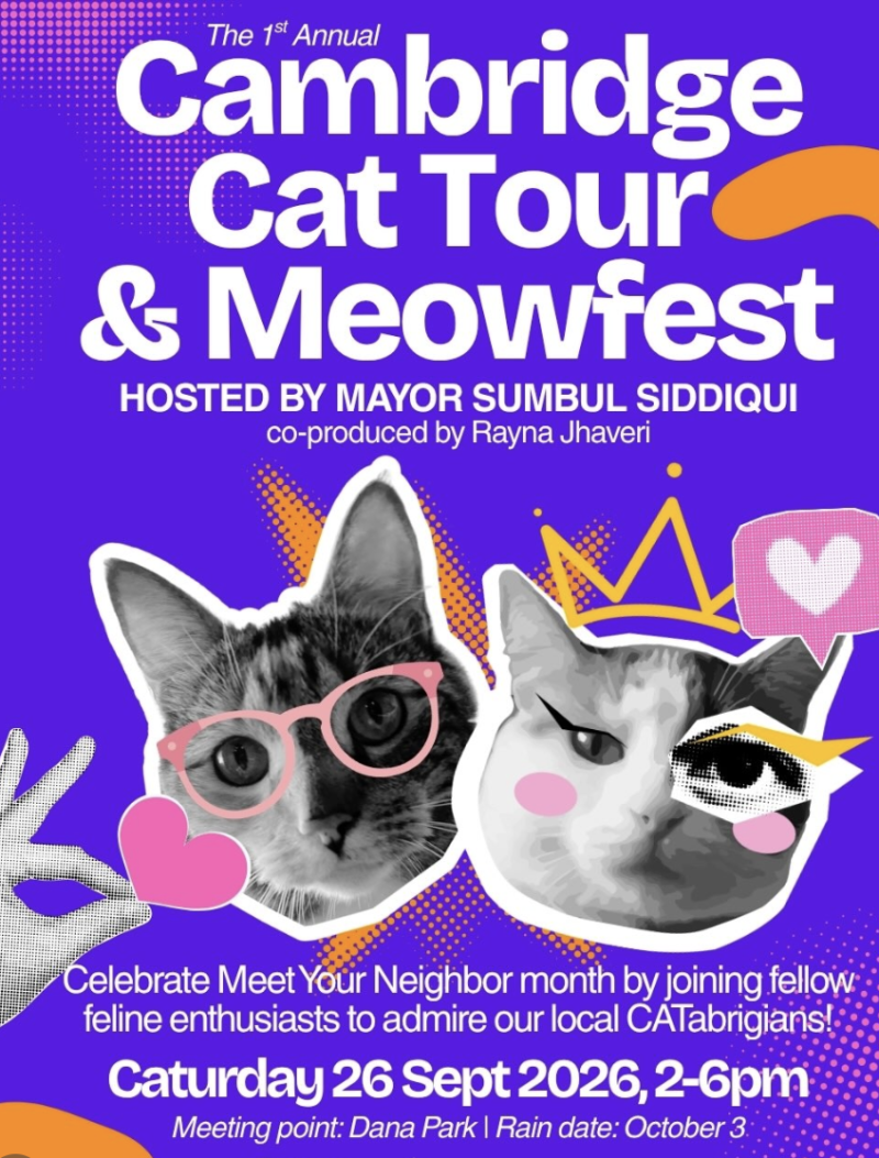 Cambridge Cat Tour & Meowfest