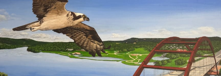 Laura P. Wright painting to show at 2026 TEXAS Exhibition in Bee Cave