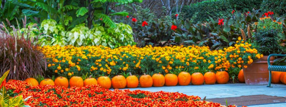 Autumn at the Arboretum
