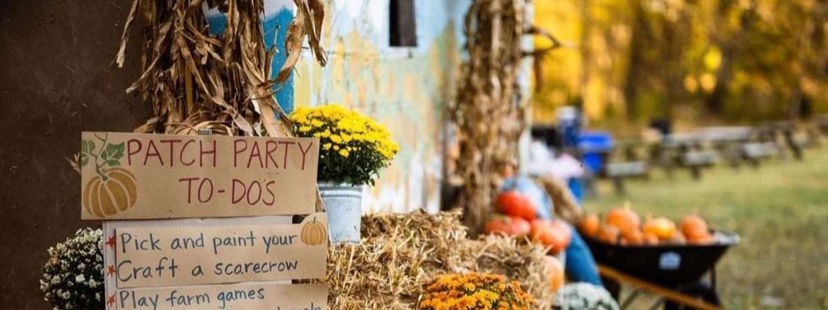 Pumpkin Patch Parties — Friends of Mill Ridge Park