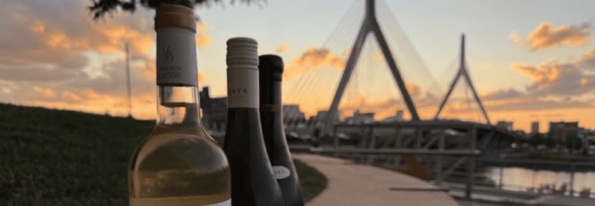 Savvy Saturday Patio Party