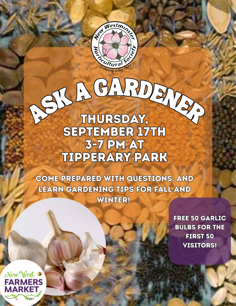 Ask a Gardener