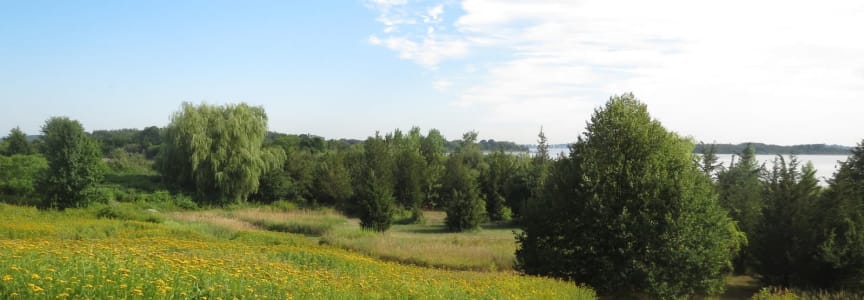 Stewardship Saturday at Webb State Park