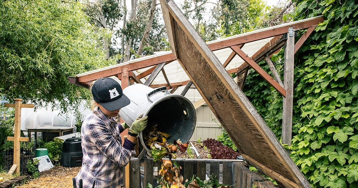 Food Waste and Composting For Businesses in the CRD