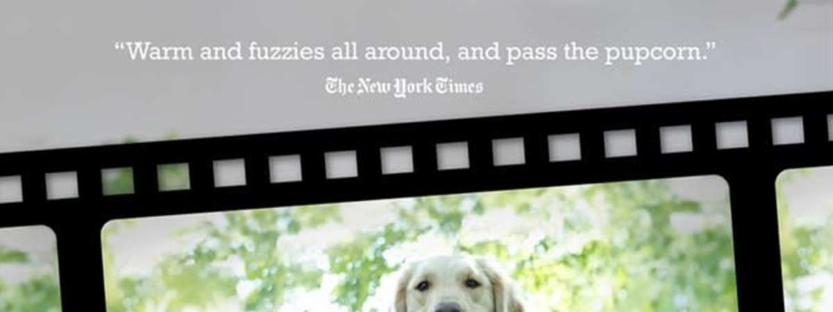Ny Dog Film Festival 2026