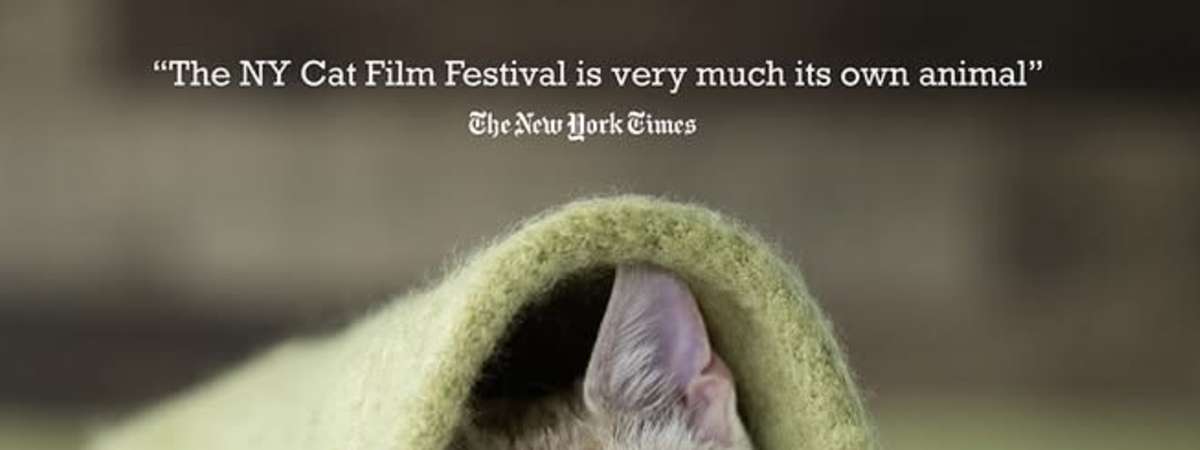 Ny Cat Film Festival 2026
