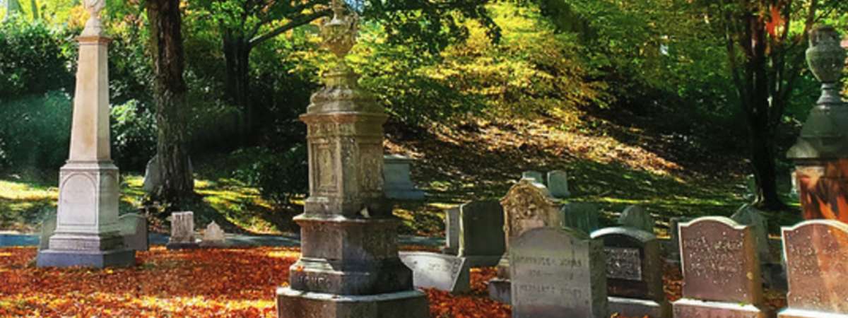 Cemetery Cinema