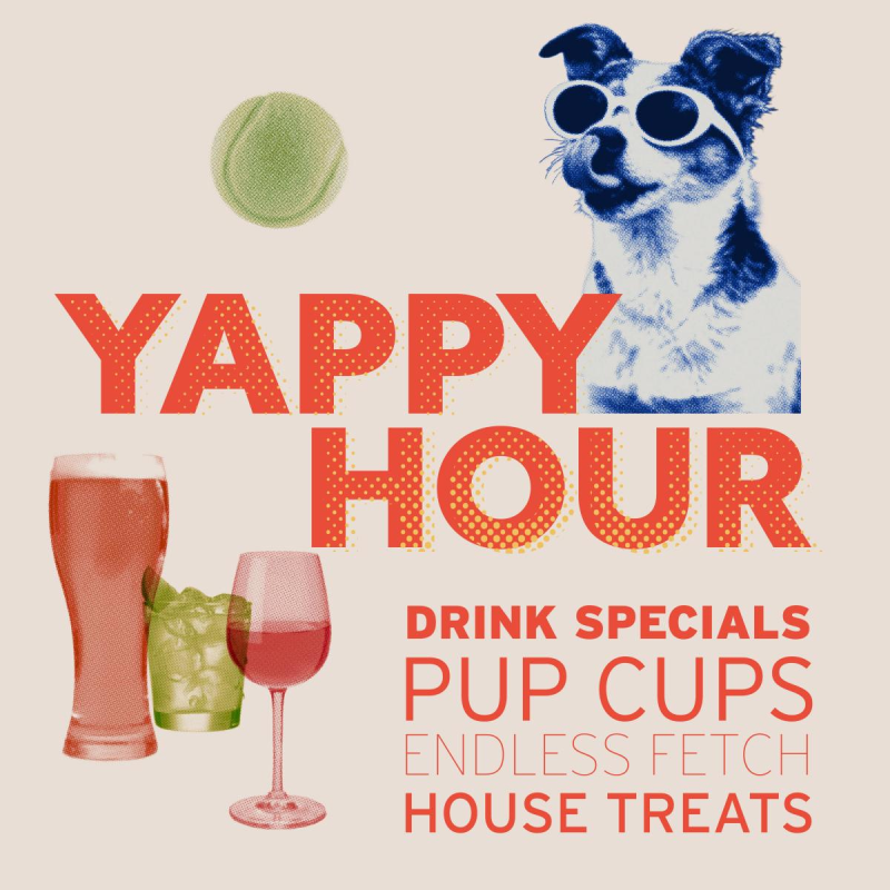 Game Day Yappy Hour 