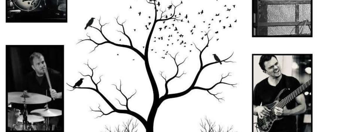 These Certain Birds