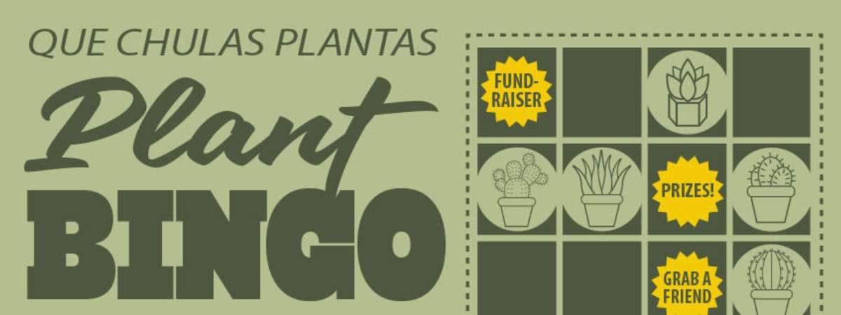 Plant Bingo