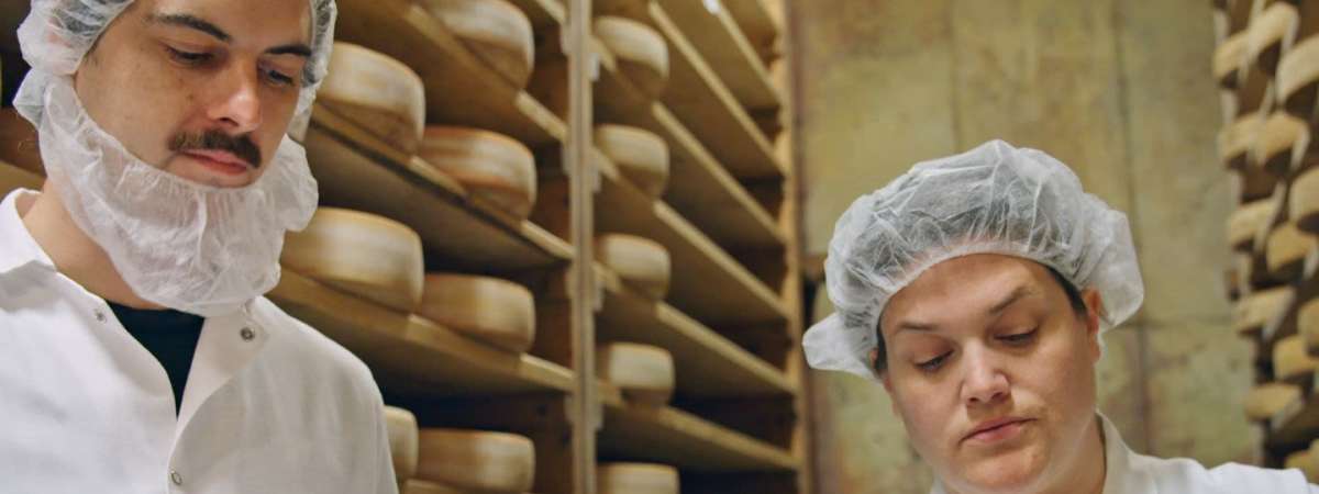 The Big Cheese