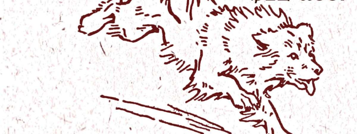 Fae Feral / Subcutaneous / Sky Swallowed / Girly and the Pops
