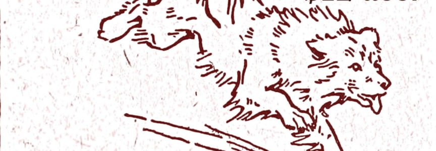 Fae Feral / Subcutaneous / Sky Swallowed / Girly and the Pops