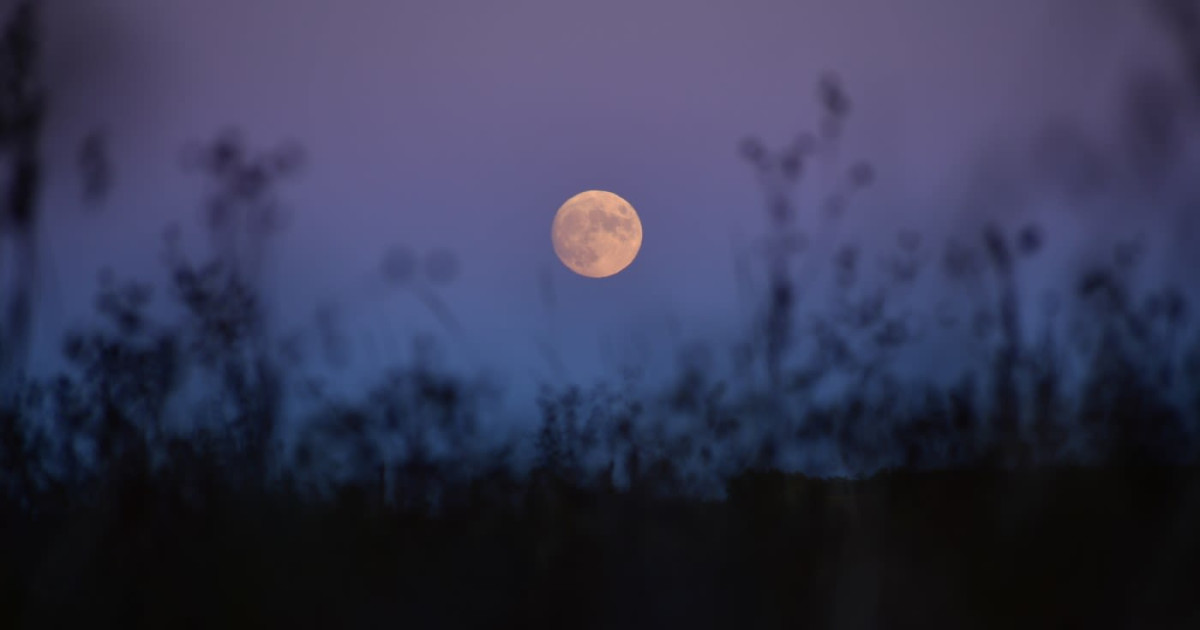 Harvest Moon Evening Walk