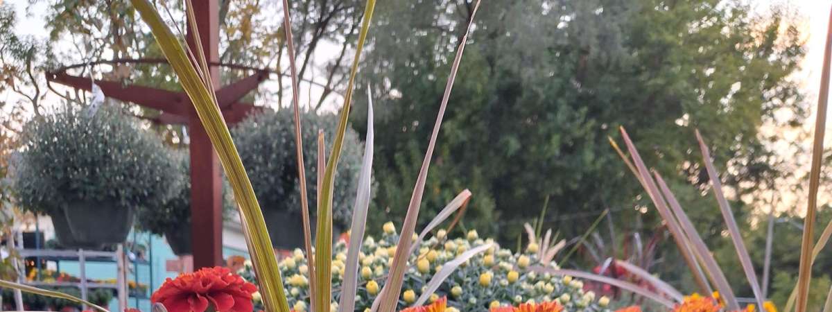 Fall Porch Pot Workshop
